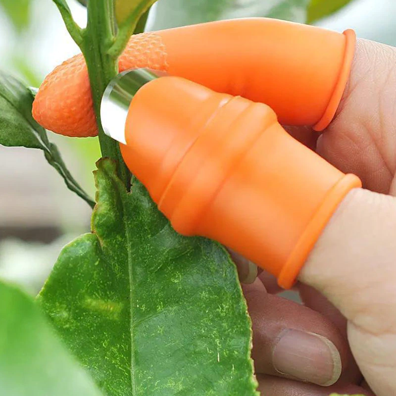 ThumpSlice™ | For gardening and cooking!